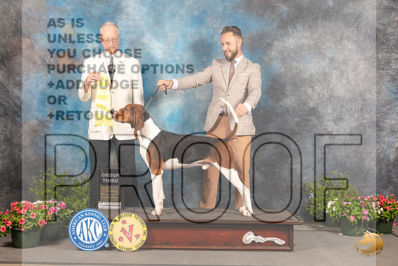 Treeing Walker Coonhound #5 Sat G3 Judge Allen Odom_MJ_0605_SA_2022_HR3