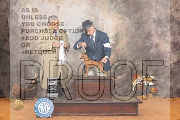 Miniature Pinscher #6 Sun G4 Judge John Rameriz_JP_2386_Marshall_2023_HR3
