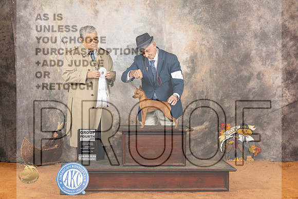 Miniature Pinscher #6 Sun G4 Judge John Rameriz_JP_2387_Marshall_2023_HR3