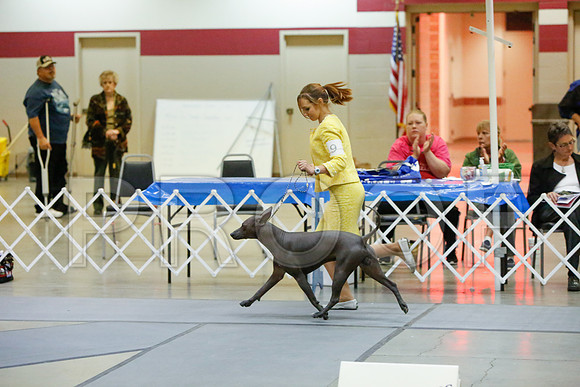 _JJ_4779-AmarilloSept2014-HR3