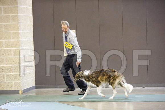 _JN_4575-BeltonJan2015-HR3