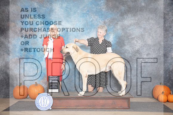 Anatolian Shepherd #7 Sun G4 Judge Jan Paulk__JP_9680_Humble_2024_HR3