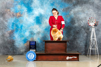 Pomeranian #15 Thur G1 Judge Joan Liebes