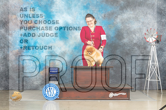 Pomeranian #15 Thur G1 Judge Joan Liebes_MJ_3626_Amarillo_2022_HR3