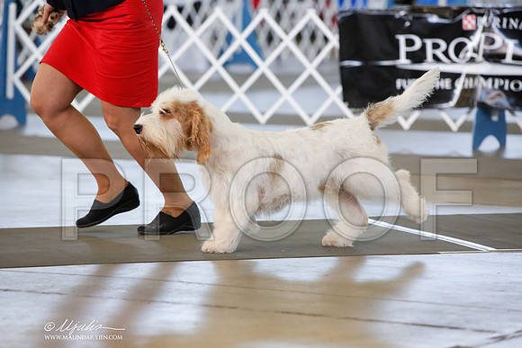 _JJ_7548-DallasJul2014-HR3