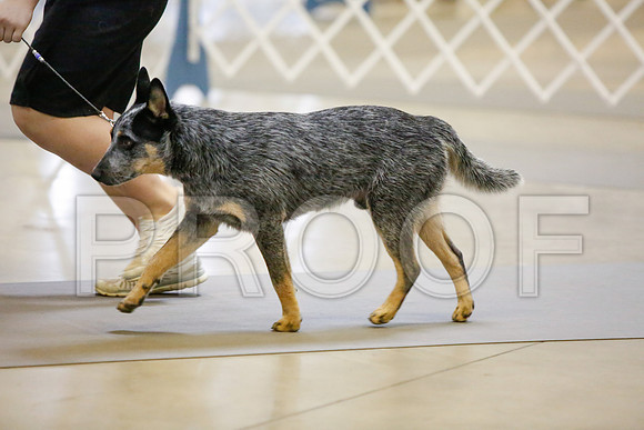 _JJ_2794-AmarilloSept2014-HR3