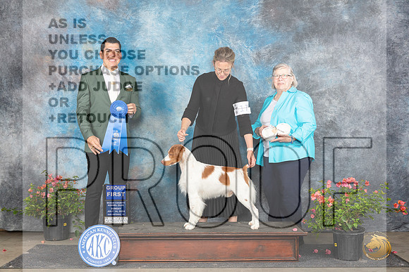 Brittany #17 Sun G1 Judge Victor Rosado__JP_6355_San Antonio_2024_HR3