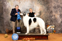 Borzoi #5 Sun G1 Judge Robert Robinson