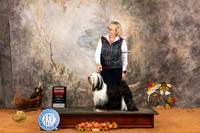 Tibetan Terrier #6 Sun G2 Judge Nicolas DeBedout