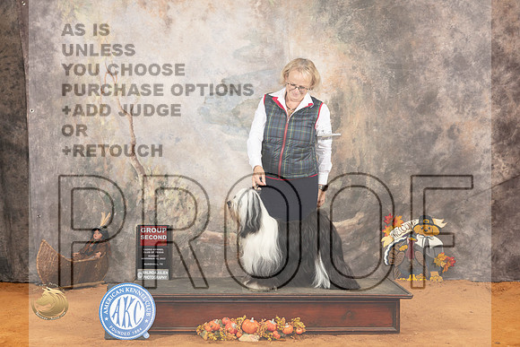 Tibetan Terrier #6 Sun G2 Judge Nicolas DeBedout_JP_2441_Marshall_2023_HR3