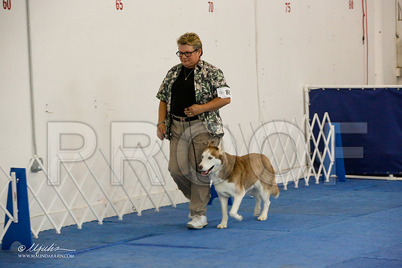 _M3_7843-AddisonHuskyMar2015-HR3