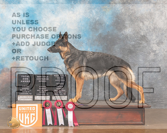 German Shepherd Dog #255MMJ_6112_Lngvw2022HR3