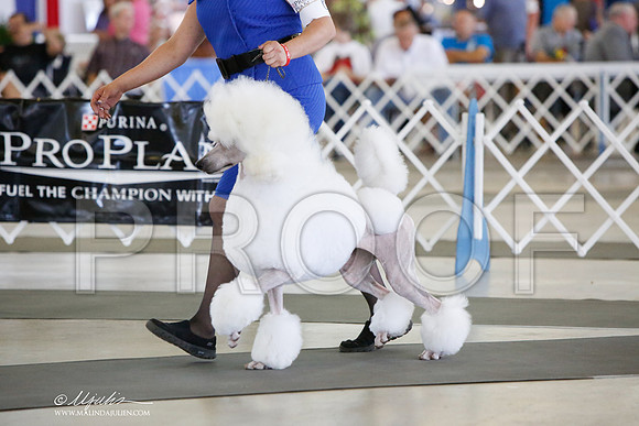 _JJ_1076-DalJul2014-HR3