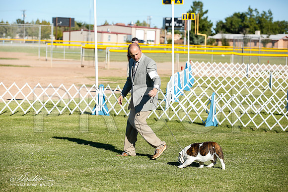 _JN_8319-AlamogordoOct2014-HR3