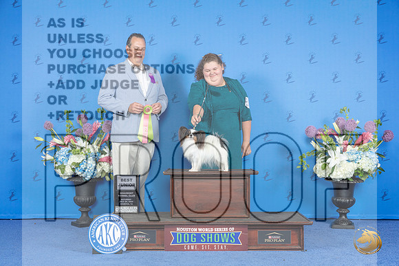 Papillon #J751 SAT BJH Judge Robert Chaffin__JP_0005_Houston_2024_HR3