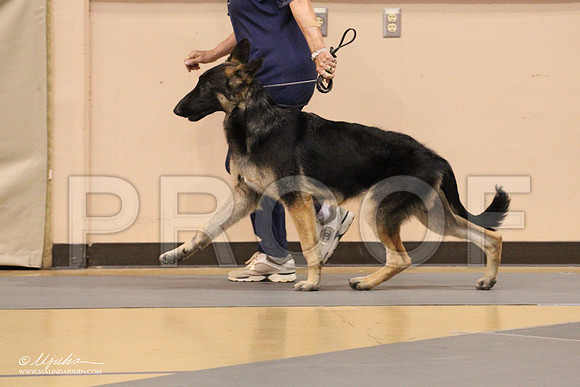 GSD-0282LR