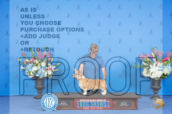 CUSTOM Pembroke Welsh Corgi FRI__JP_9630_Houston_2024_HR3