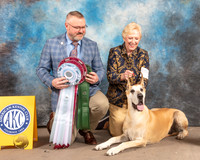 Great Dane #10 Fri BVBOHSB Judge Jason Hoke