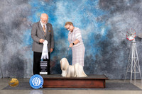 Lhasa Apso #6 Fri G4 Judge Gary Andersen