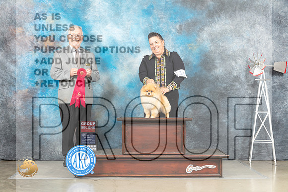 Pomeranian #11 Sat G2 Judge Alfred Ferruggiaro_MJ_4549_Amarillo_2022_HR3