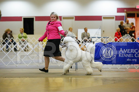 _JN_6197-AmarilloSept2014-HR3