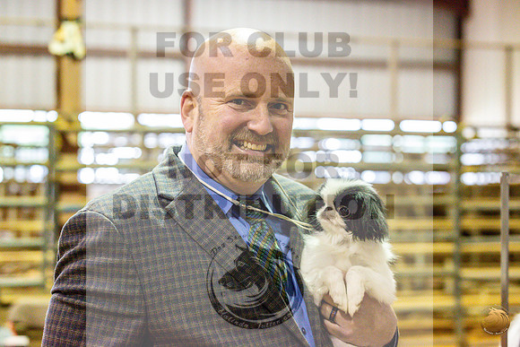 Japanese Chin Specialty FriJJL_0361_Marshall_2023_HR3