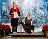 Junior Showmanship #J101 Best Jr Erica Massmgni Dreer M & V Giamo Judge Anne Stenmark EDIT WB