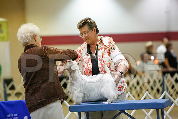 _JN_0133-AmarilloSept2014-HR3