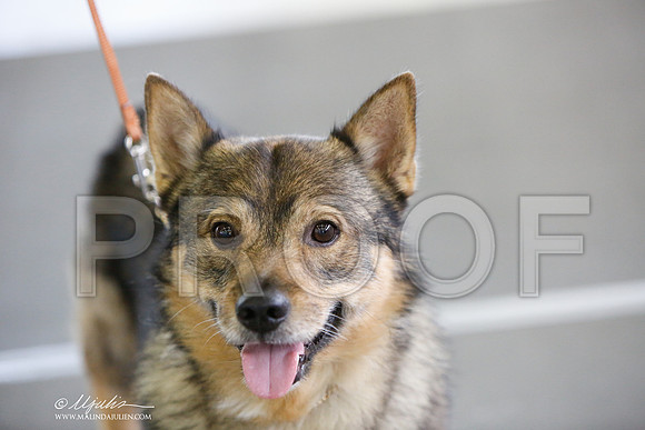 _JJ_3092-DallasJul2014-HR3