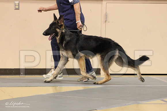 GSD-0278LR
