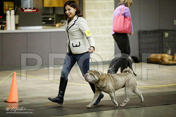 _JJ_5799-BeltonJan2015IABCA-HR3