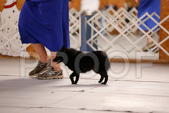 _RH_6128-CarlrolltonSept2014-HR3