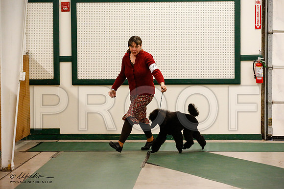 _JN_1009-NrmnNov2014-HR3