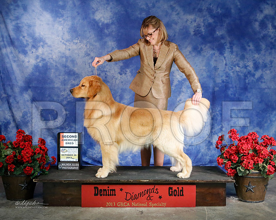 AmBredD-6069-WFOct2013-HR
