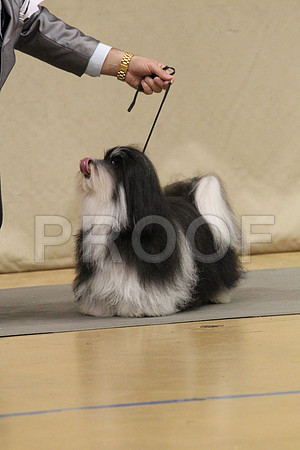 MJS_0054
