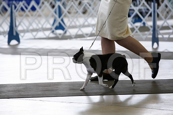 _CK_4715-DallasJul2014-HR3