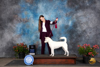 Kishu Ken #6 G#3 Judge Elizabeth ‘Beth’ Sweigart