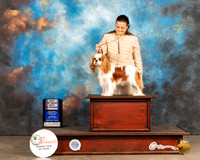 Cavalier King Charles #5 Thurs BOBBOW Judge Jan Paulk