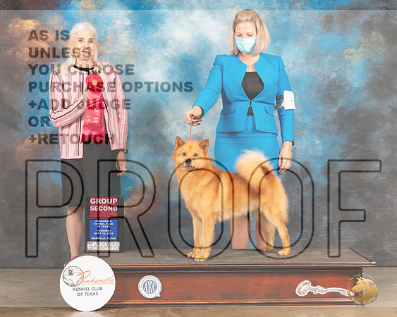 Finnish Spitz #5 Thur G2 Judge Jan Paulk-MMJ_1293-Amarillo2021