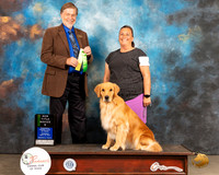 Golden Retriever #15 Thurs CD Judge Bob Margolis