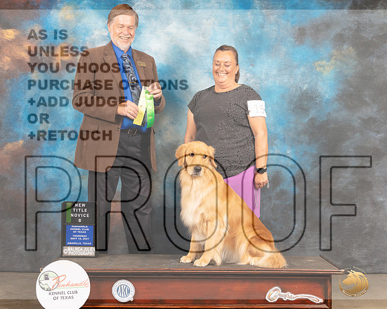 Golden Retriever #15 Thurs CD Judge Bob Margolis-MMJ_1273-Amarillo2021