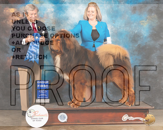 Tibetan Mastiff #5 Thur G1 Judge Robert Robinson-MMJ_1311-Amarillo2021