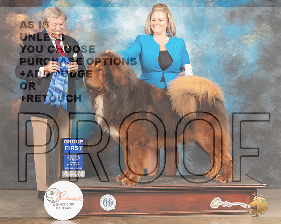 Tibetan Mastiff #5 Thur G1 Judge Robert Robinson-MMJ_1314-Amarillo2021