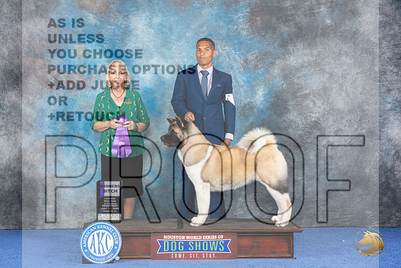 Akita #14 WED WB Judge Alisa Brotherhood__JP_6966_Houston_2024_HR3