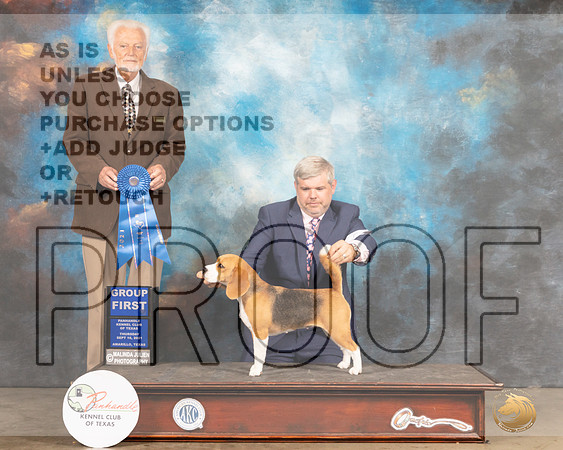 Beagle 13%22 #6 Thur G1 Judge Houston Clark-MMJ_1467-Amarillo2021