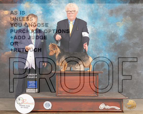 Australian Terrier #5 Thur G4 Judge Del Richards-MMJ_1374-Amarillo2021