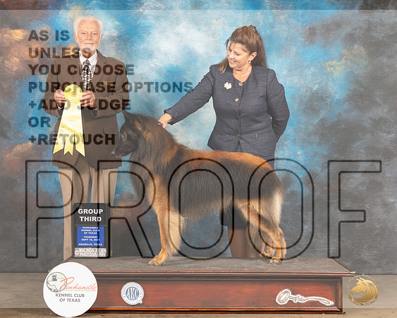 Belgian Tervuren #5 Thur G3 Judge Houston Clark-MMJ_1523-Amarillo2021
