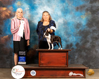 Boston Terrier #6 Thur G4 Judge Jan Paulk
