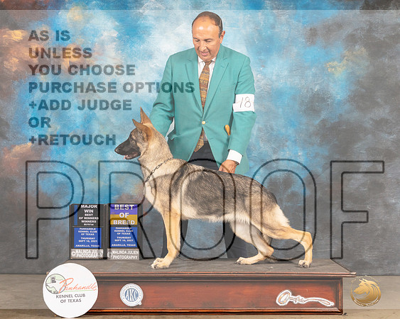 German Shepherd Dog #18 Thur WBBOWMaj Judge Houston Clark-MMJ_1407-Amarillo2021