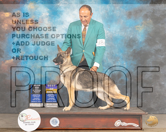 German Shepherd Dog #18 Thur WBBOWMaj Judge Houston Clark-MMJ_1410-Amarillo2021